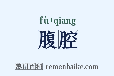 腹腔是什么意思的图片